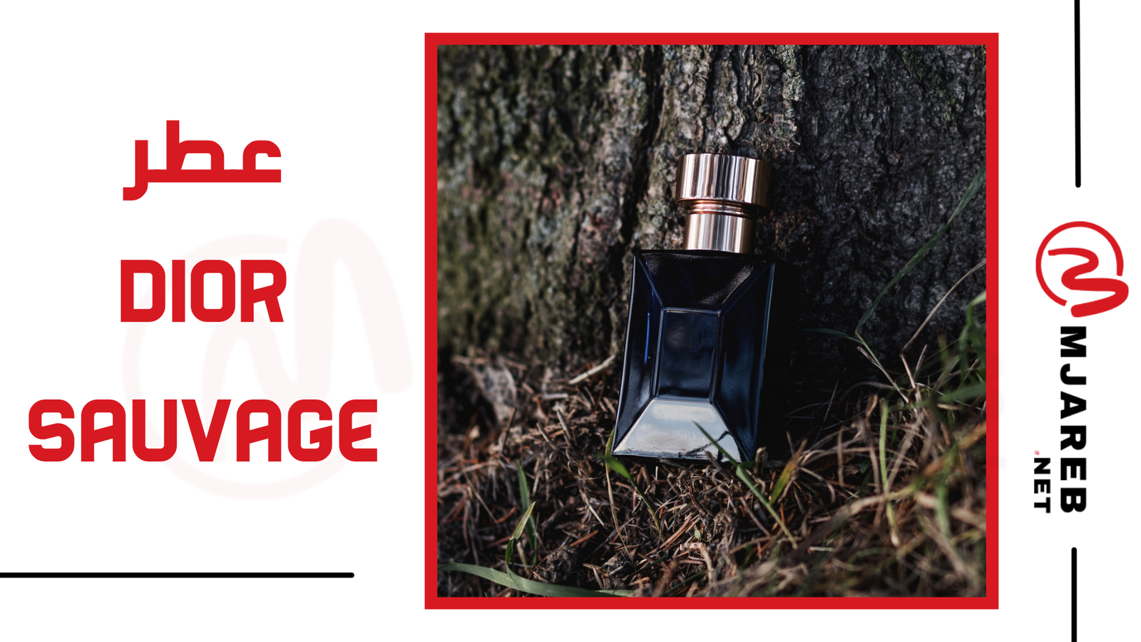 عطر Dior Sauvage