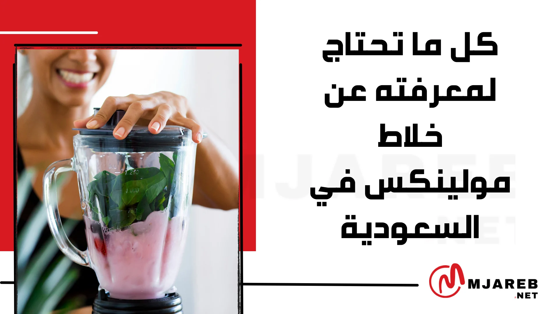 كل ما تحتاج لمعرفته عن خلاط مولينكس في السعودية