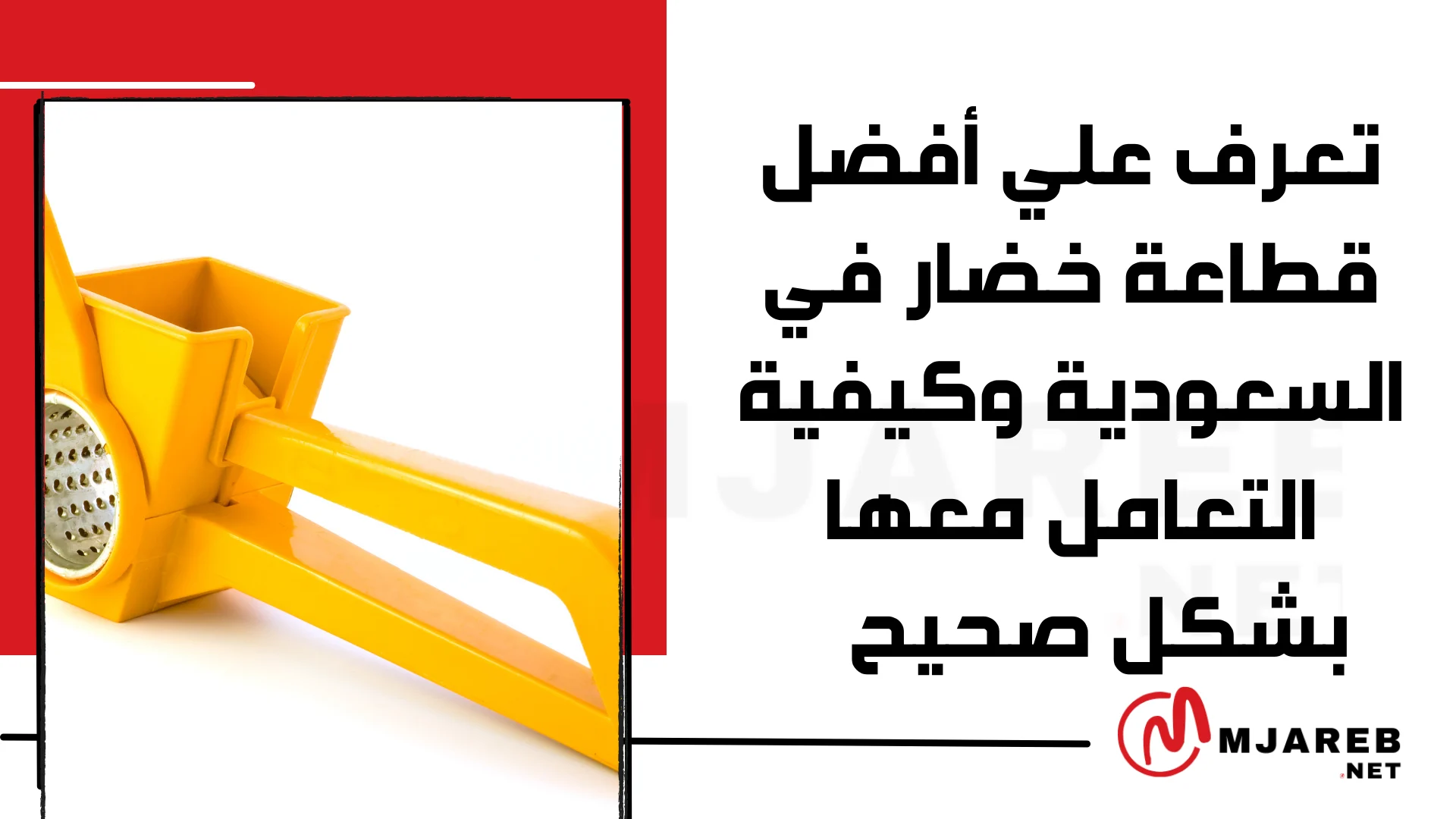 تعرف علي أفضل قطاعة خضار في السعودية وكيفية التعامل معها بشكل صحيح