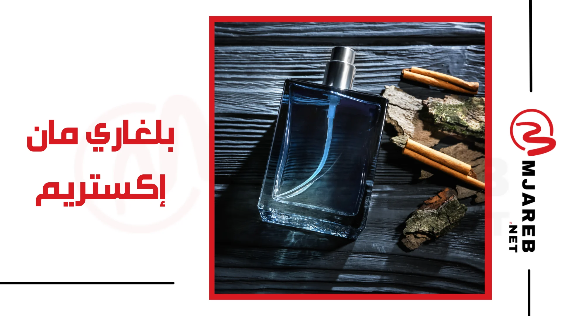فيجيشيلي Fegishilly جراب حماية بالشفط المغناطيسي التلقائي مع فتحة للقلم 2023