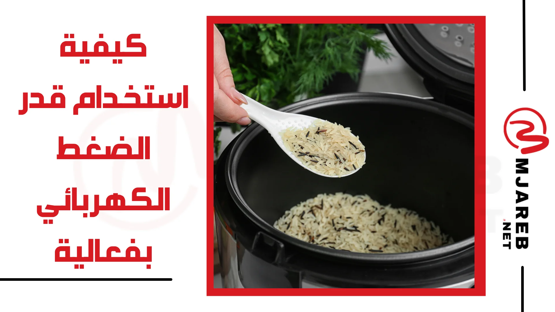 كيفية استخدام قدر الضغط الكهربائي بفعالية